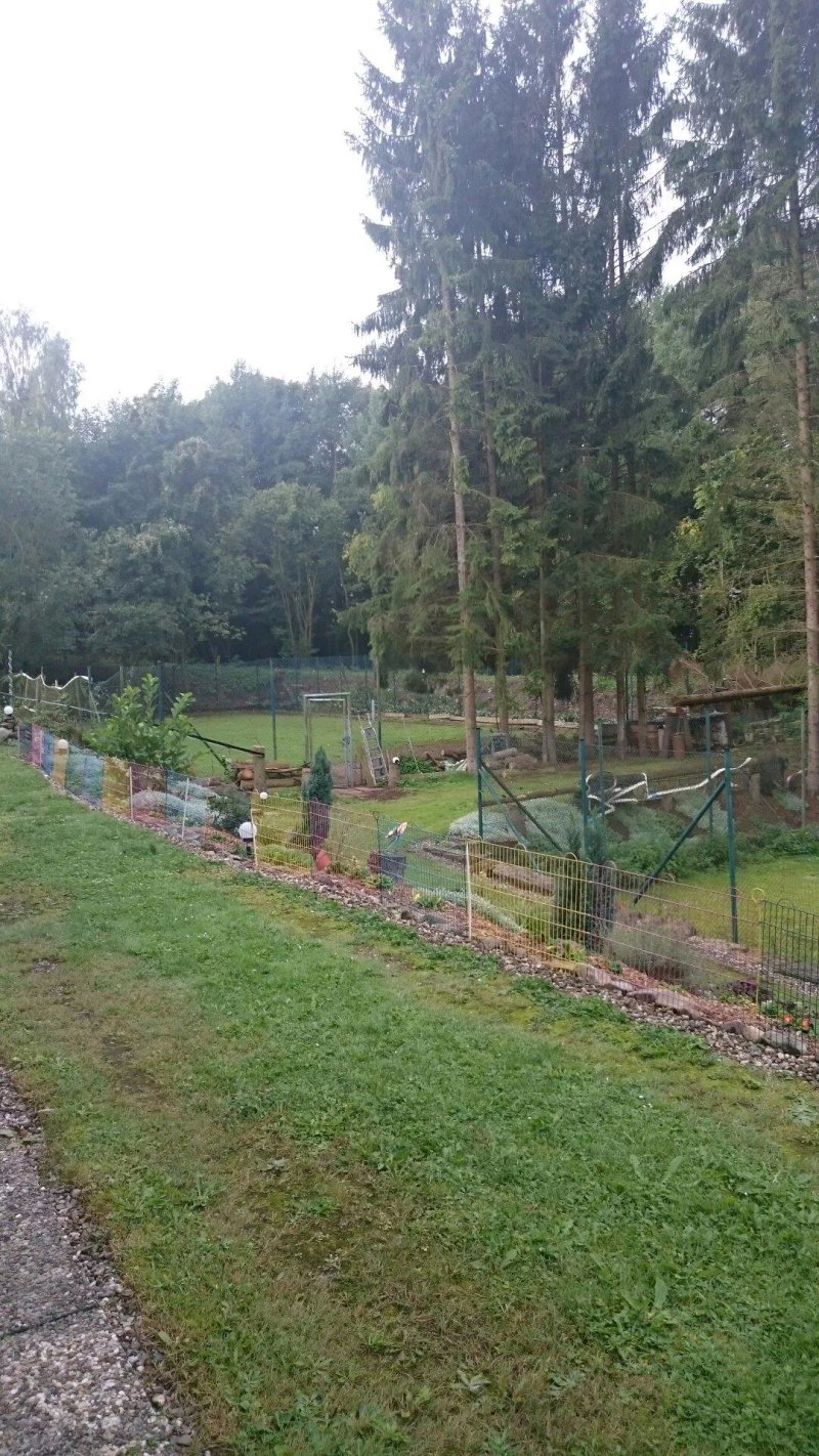 Buhberg Baude