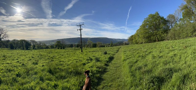 Cove Park