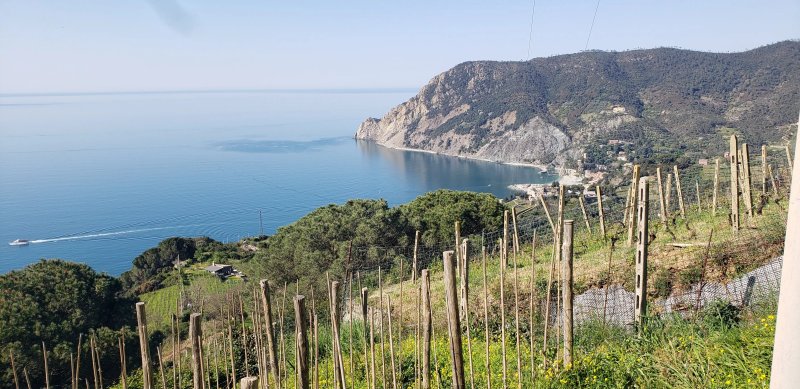 B&B Villa Pietra Fiore