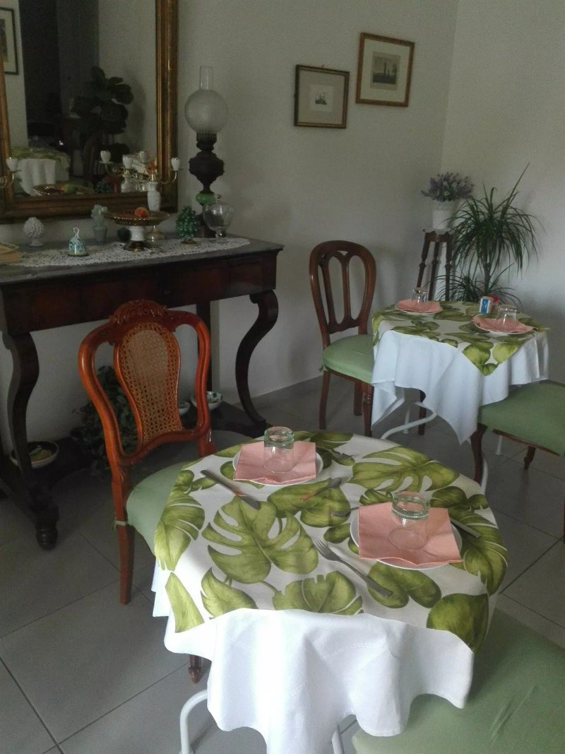 B&B Ficodindia