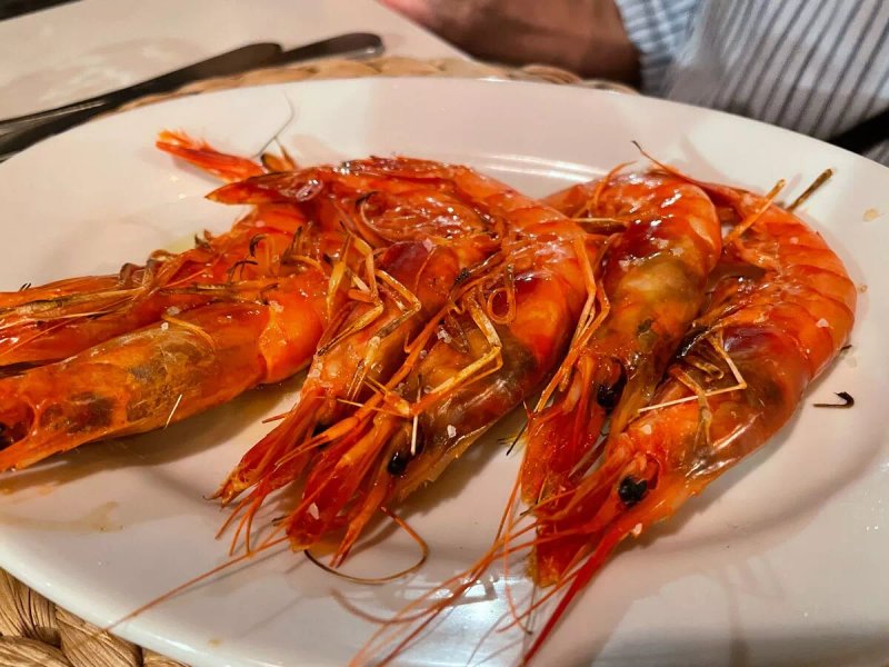 Pintarroja