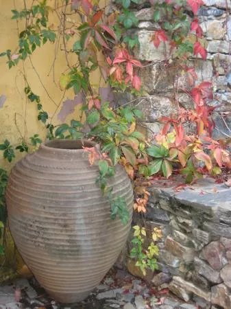 Quinta do Barrieiro