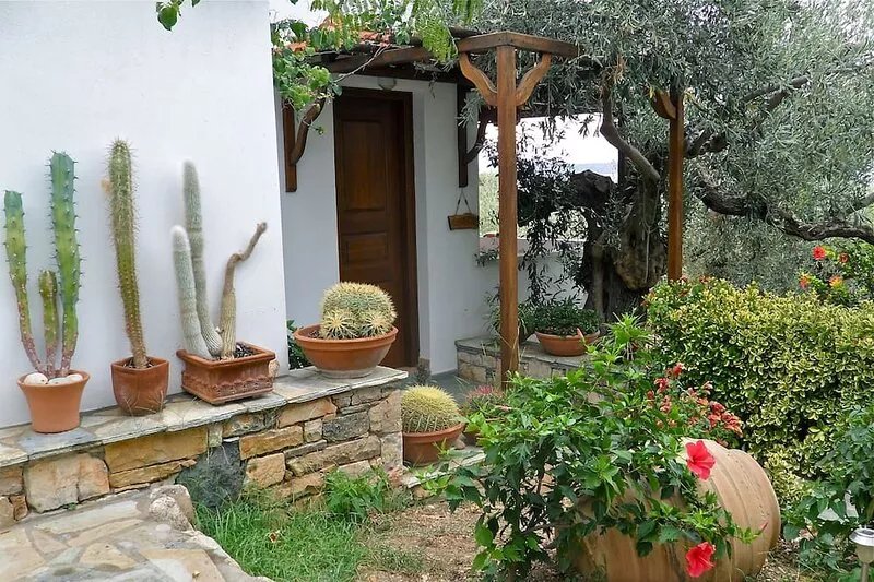 CACTUS - Flower Houses in Alonissos island