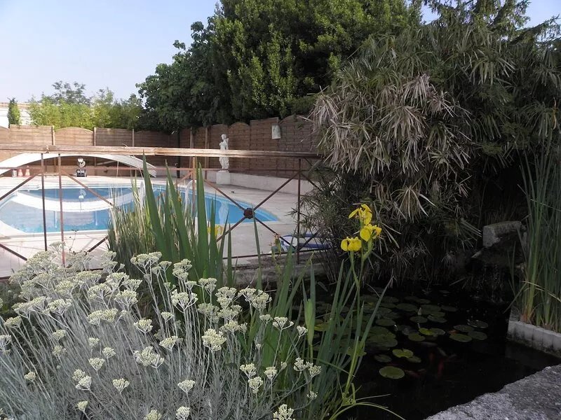 Tiny-House for rent in Provence, your unusual holidays ...