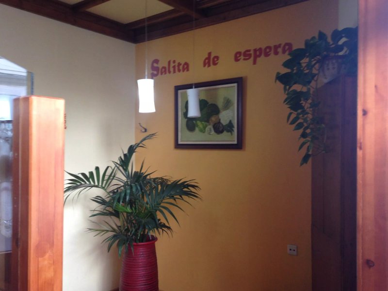 Restaurante El Palmero