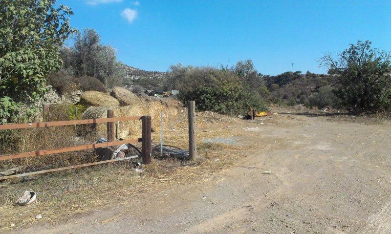 Dipotamos Donkey Farm