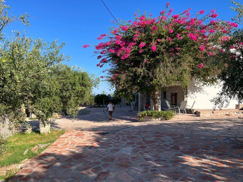 Ionianeon Apartments
