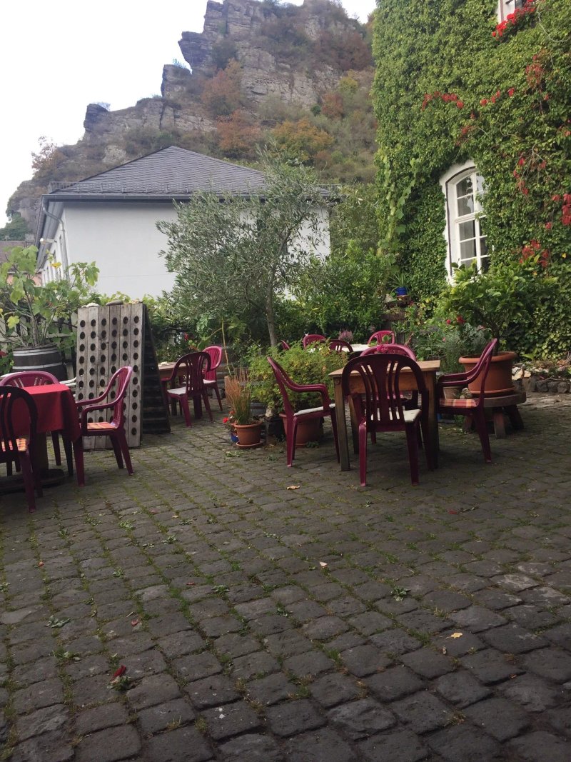 Secthaus Delicat