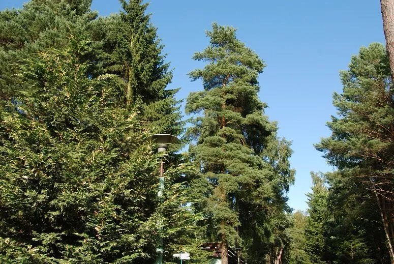 Osrodek Wczasowy MUSZELKA