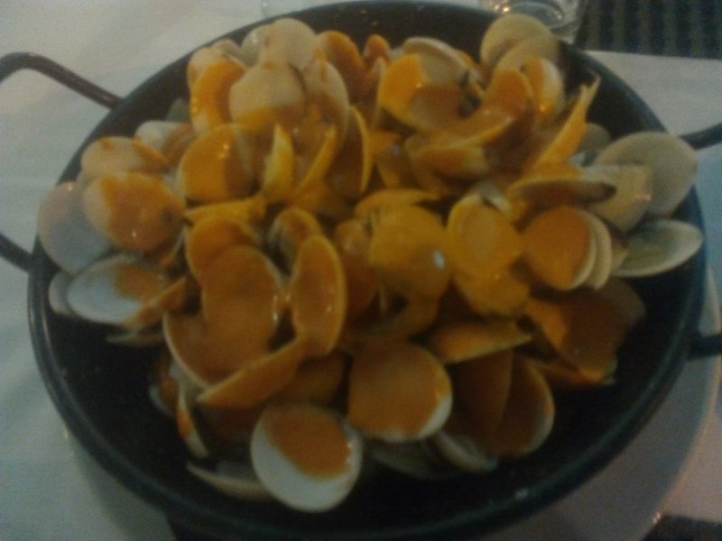 Fusion grill
