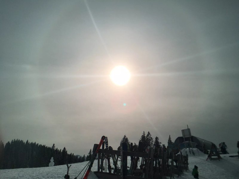 Steinbock Alm