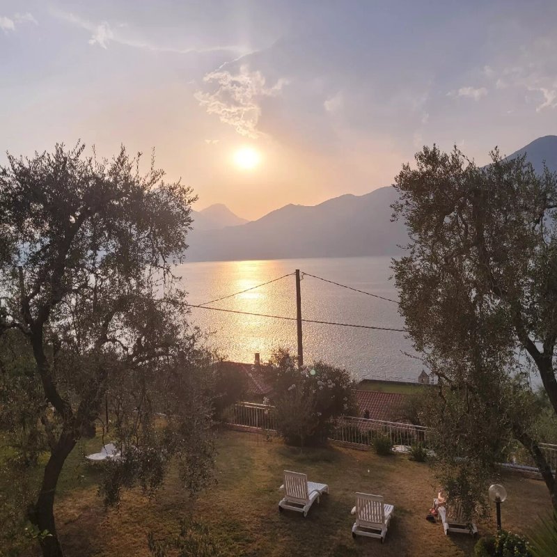 Agriturismo Uliveta