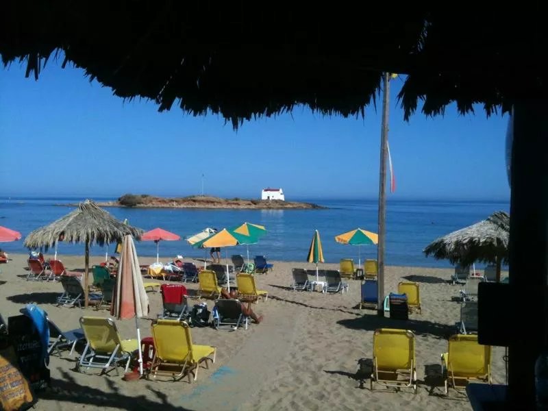 Dolphin Beach Bar