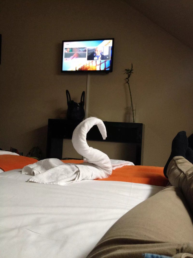 Hotel Casela