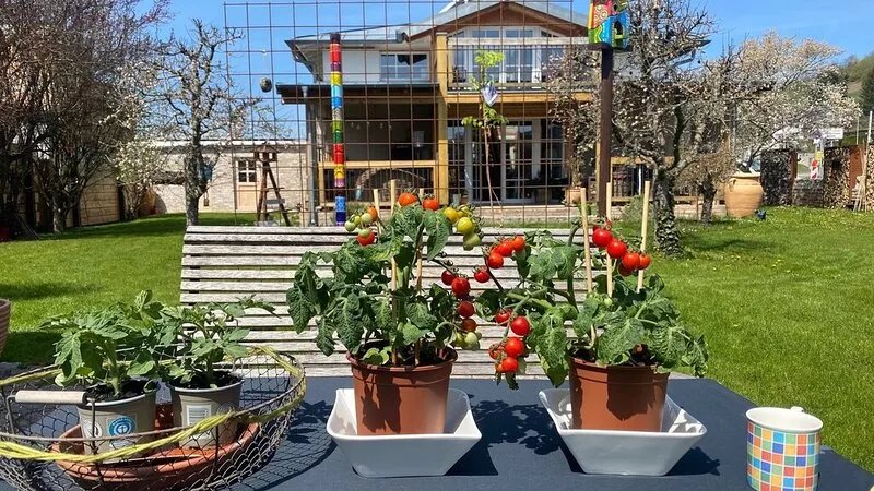 Exclusives Ferienhaus mit 2 Getrennten-zusammenfügbaren Wohnungen