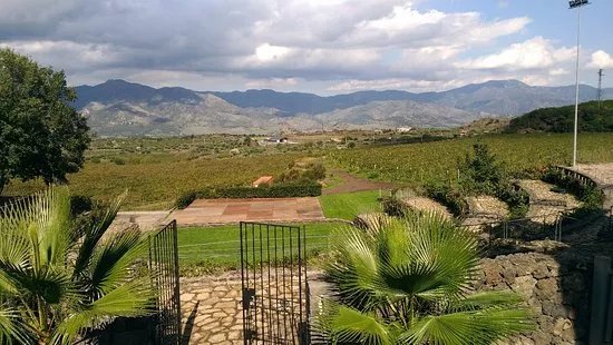 Winery Patria