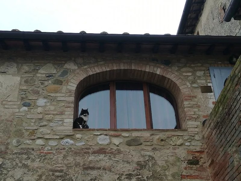 Podere Calcinaia