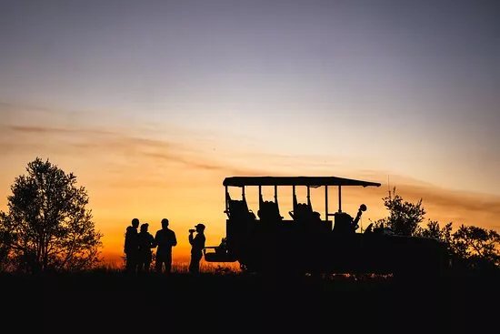 L'eoil Sauvage - Wildlife Experience