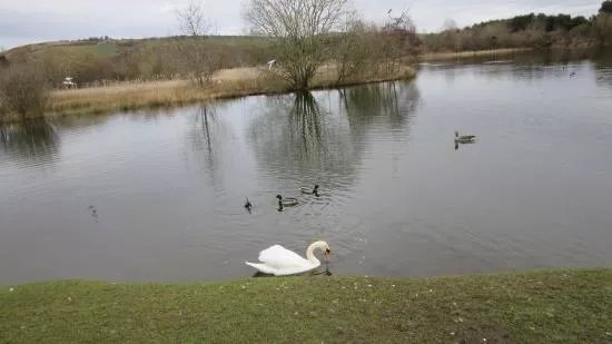 Birnie Loch