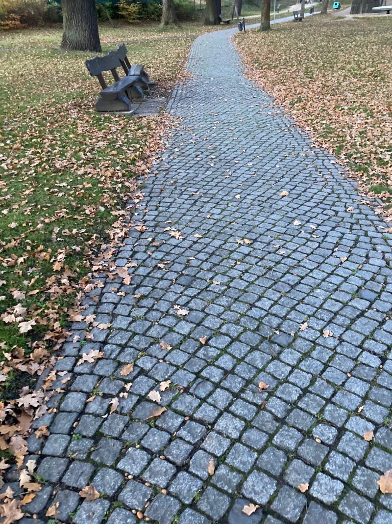 Lutherpark