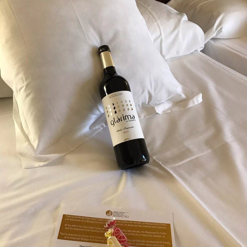 Gran Hotel Ciudad de Barbastro