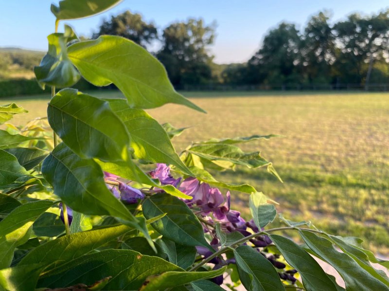 Agriturismo Braciami