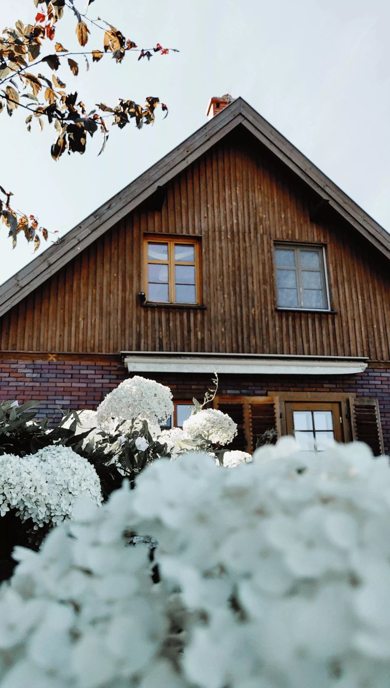 Frombork Siedlisko