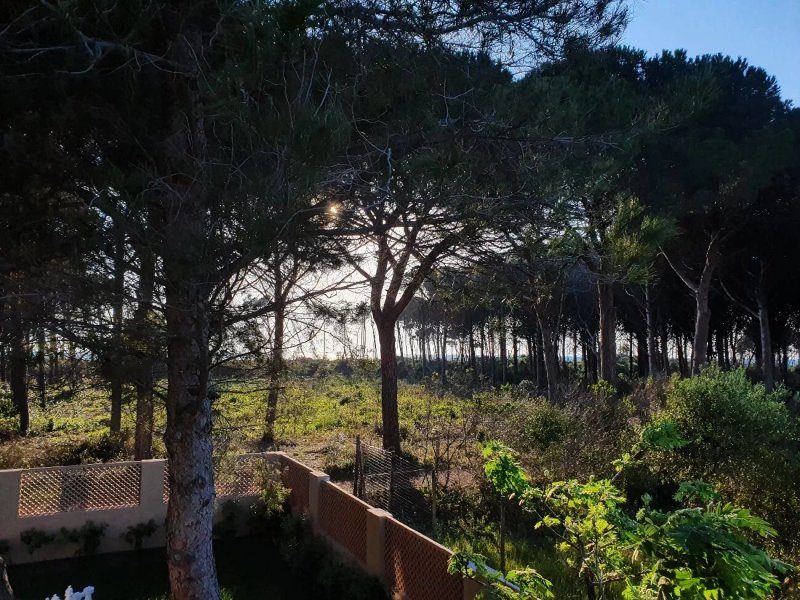 Oleandri Suite Hotel