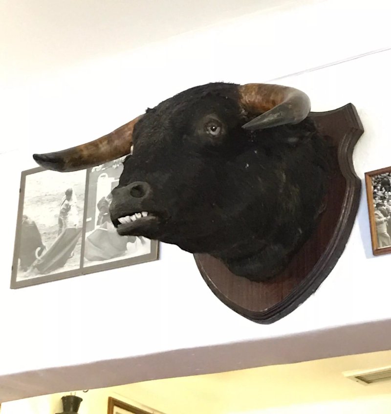 Restaurante Cabeca de Toiro
