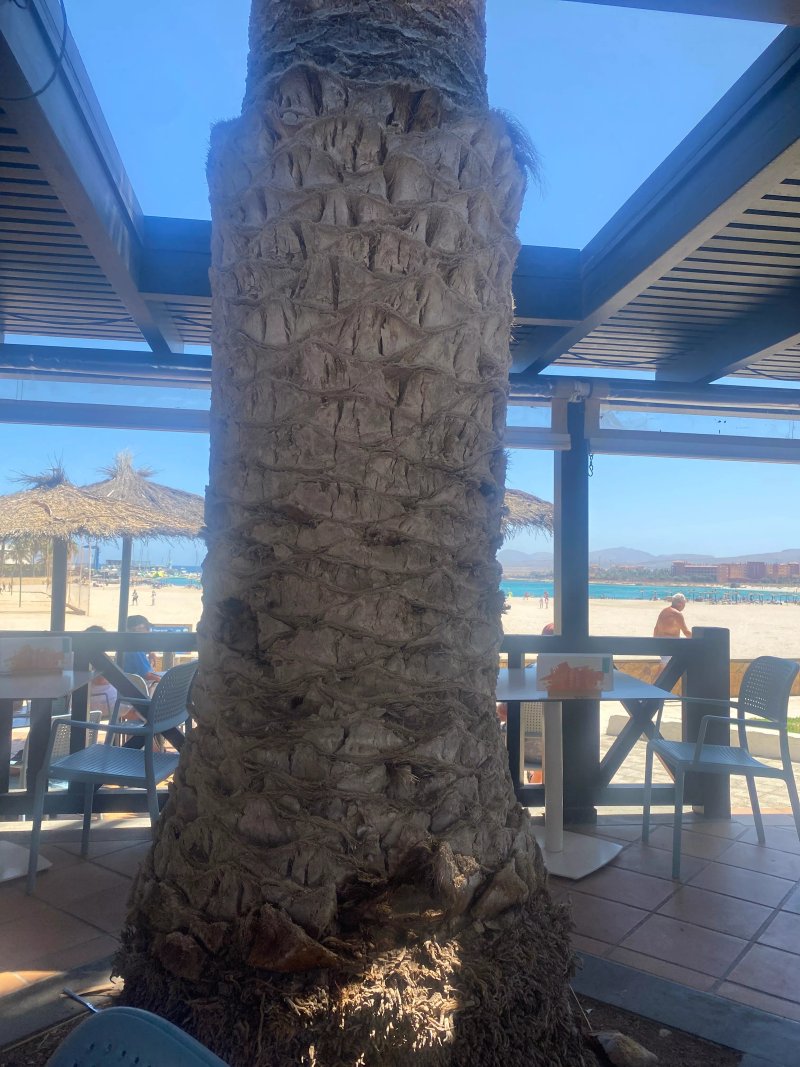 La Perlita Pizzeria