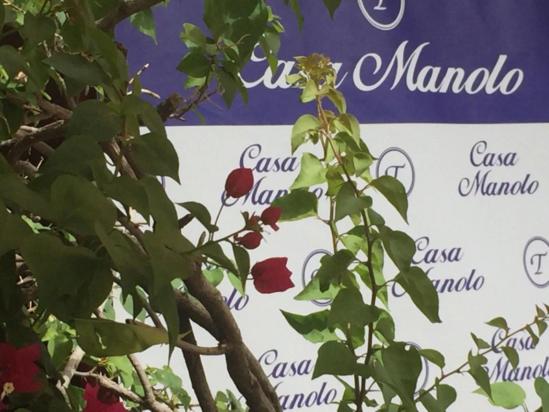 Casa Manolo Marchena