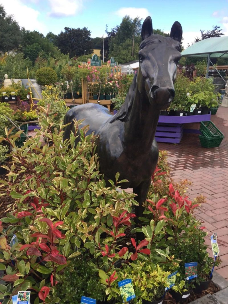 Cupar Garden Centre