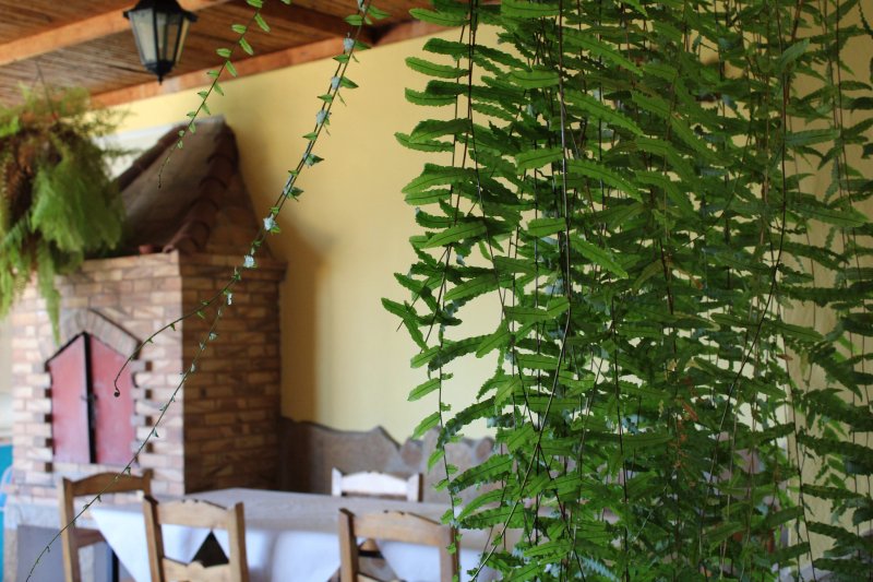 La Amistad - Bar Grill