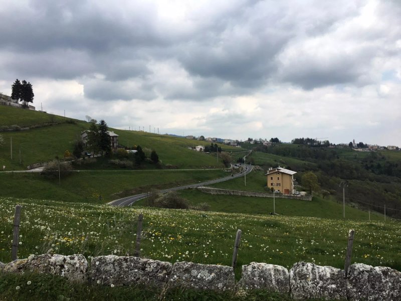 Malga Faggioli 1140