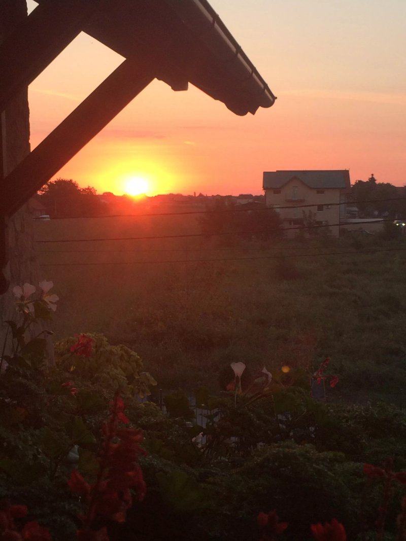 Winery SKRBIC Inn
