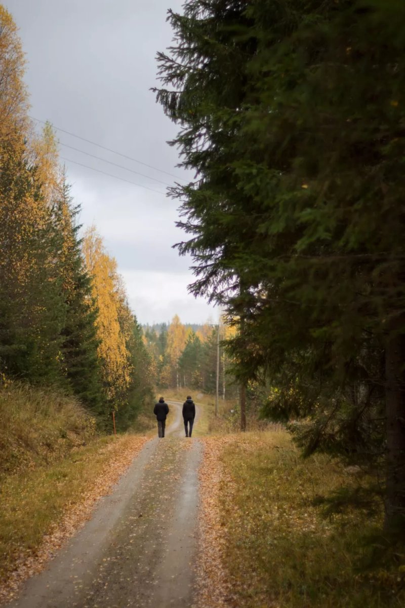 Tuupovaara