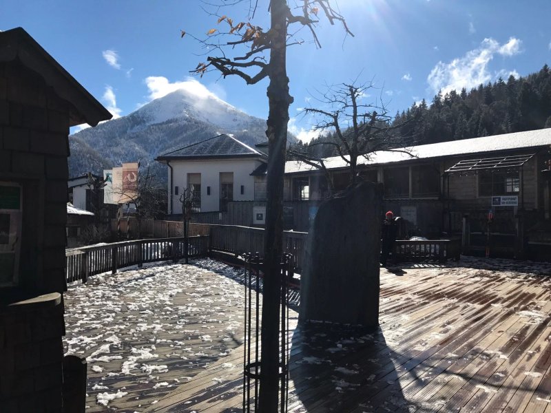 Seealm am Kleinen Achensee