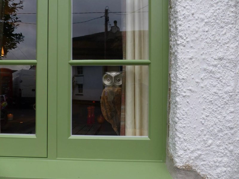 The Sandy Park Inn