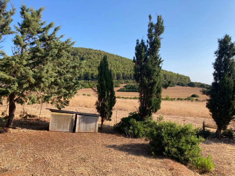 Agriturismo Arena Del Sol