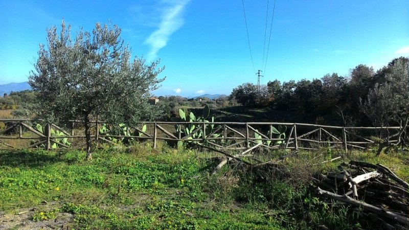 Borgo San Nicolao