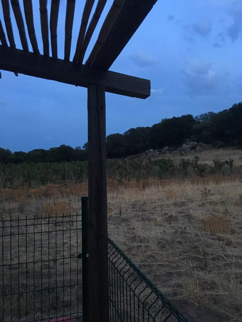 Agriturismo l'Agliuledda