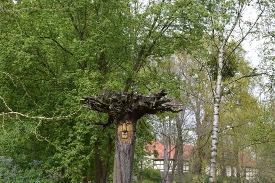 Tierpark Senftenberg