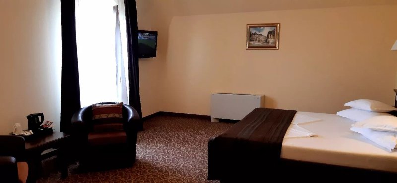 Hotel Leul de Aur