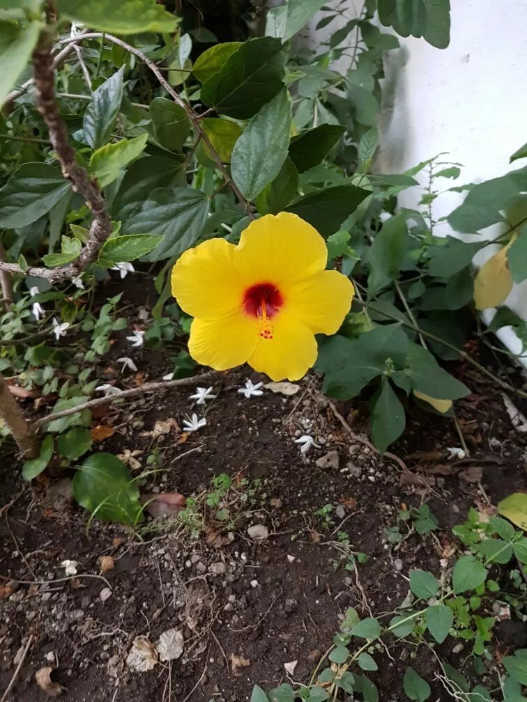 Hotel Villa Hermosa