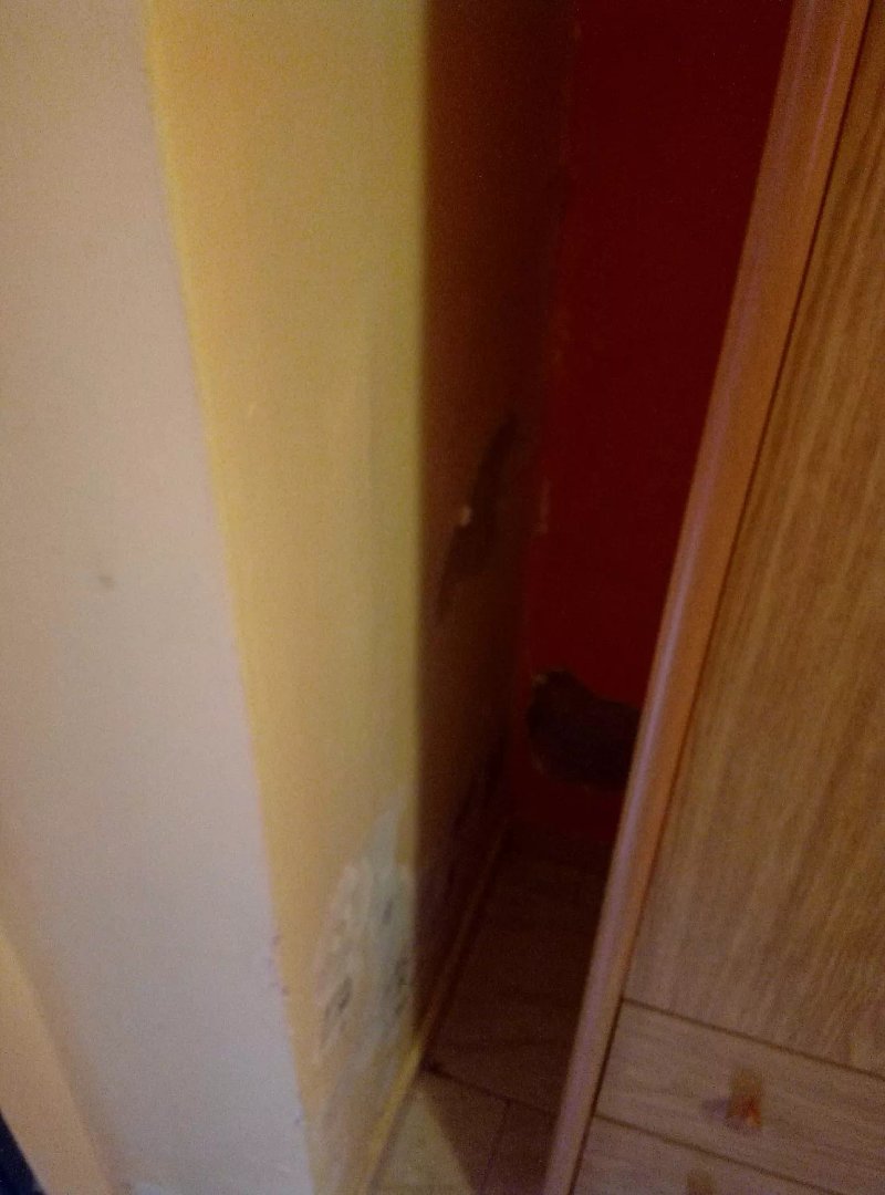 Hotel Pensione Romeo