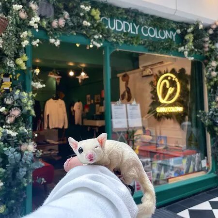 Cuddly Colony