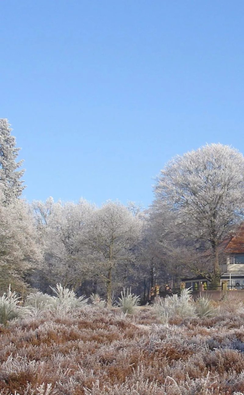Chalet de Helenaheuvel