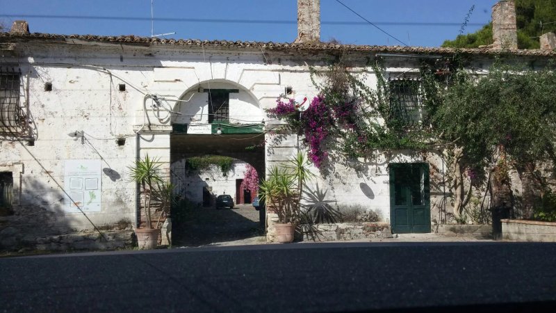 Il Giardino di Iti