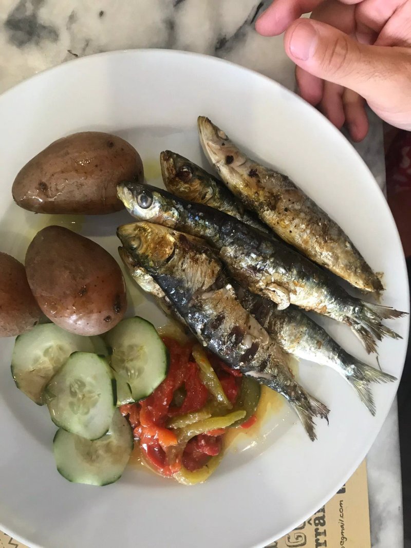 Pensao Sisudo