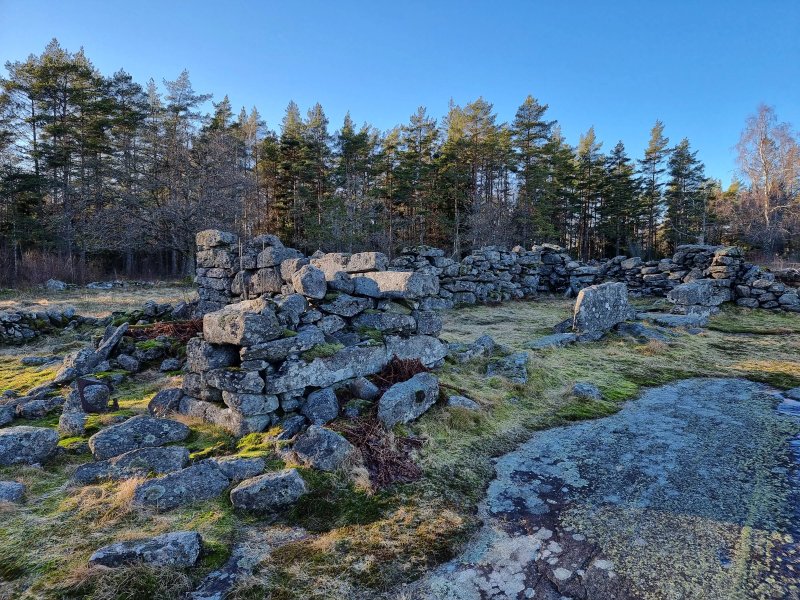 Björsjöås Vildmark